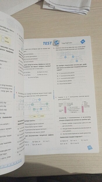  Beden Aydın 10. Sınıf biyoloji soru Bankası 