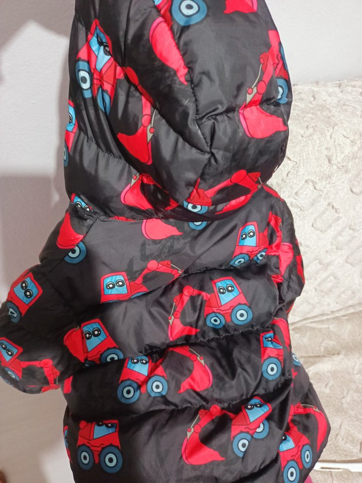 Kapüşonlu, renkli desenli erkek çocuk mont - Görsel 2