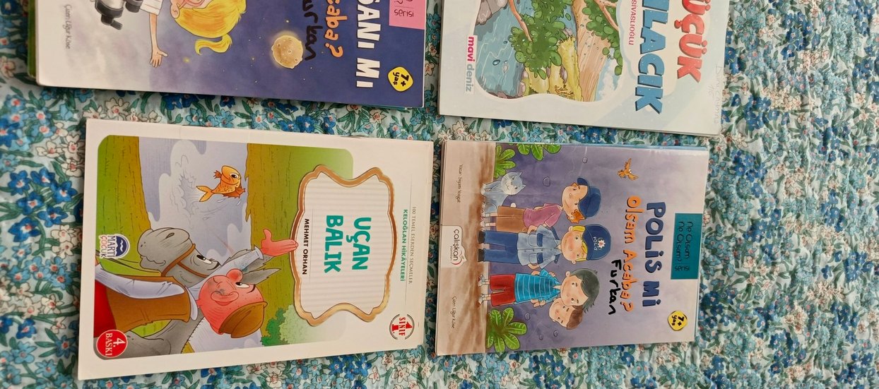 ilkokul okuma hikaye kitapları - Görsel 4