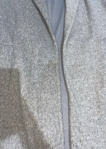 Gri Uzun Kaban - Görsel 4