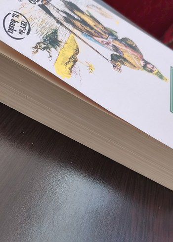 Beden Robinson crusoe 2 kitap