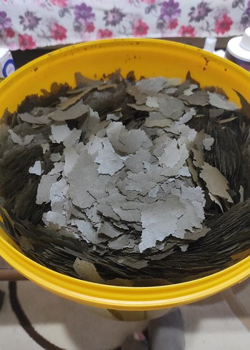 Tropical Spirulina Super Forte Balık Yemi