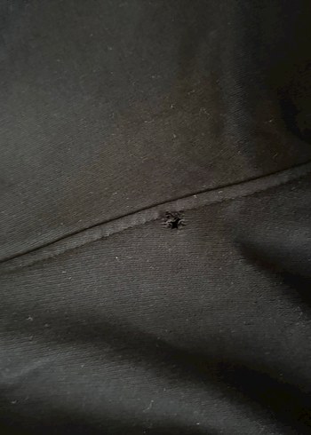 LCW Erkek Eşofman Altı - Görsel 3