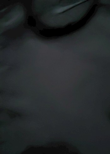 Nike rüzgarlık Fermuarlı için polar - Görsel 2