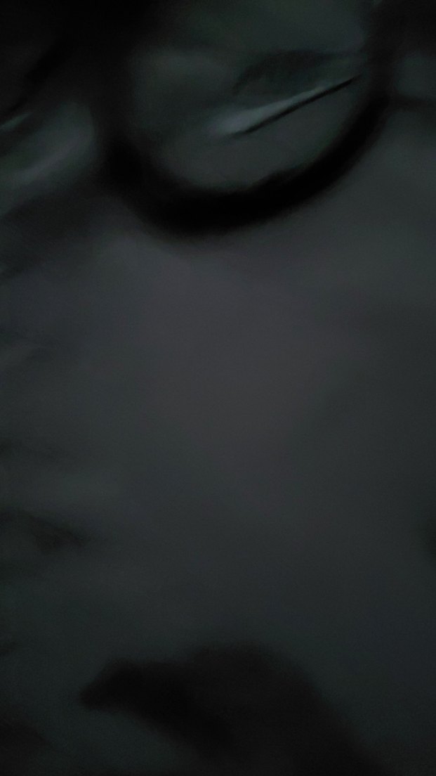 Nike rüzgarlık Fermuarlı için polar - Görsel 2