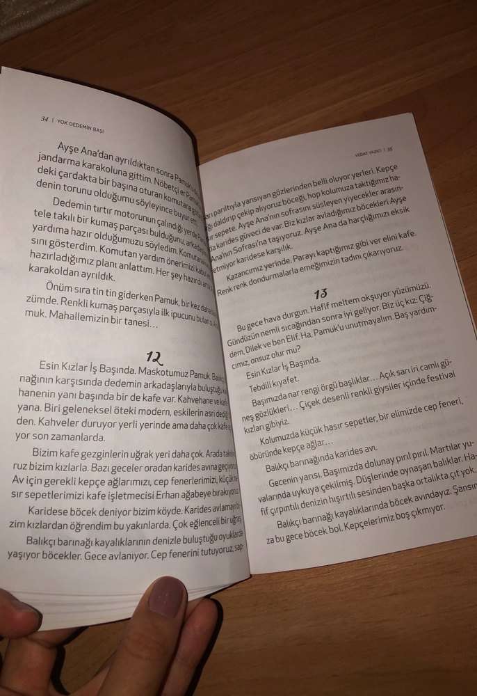 İz Peşinde - Vedat Yazıcı Mizah Kitabı çocuk okuma kitabı - Görsel 2