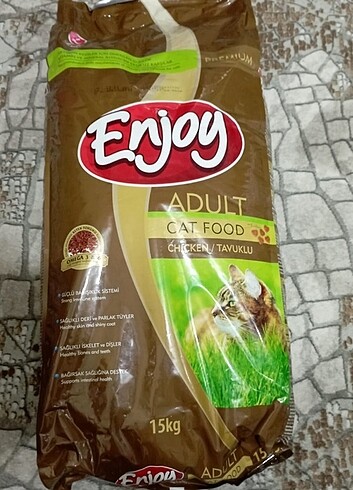 Enjoy 