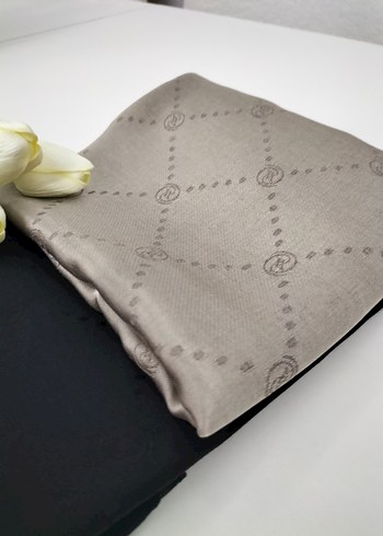 Bej Gri Modern Klasik Kadın Şalı - Görsel 2