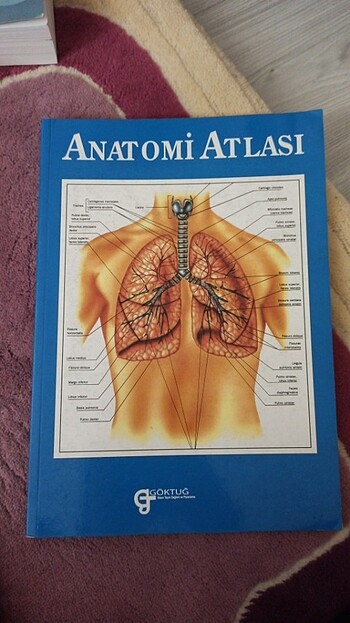 Anatomi atlasi 