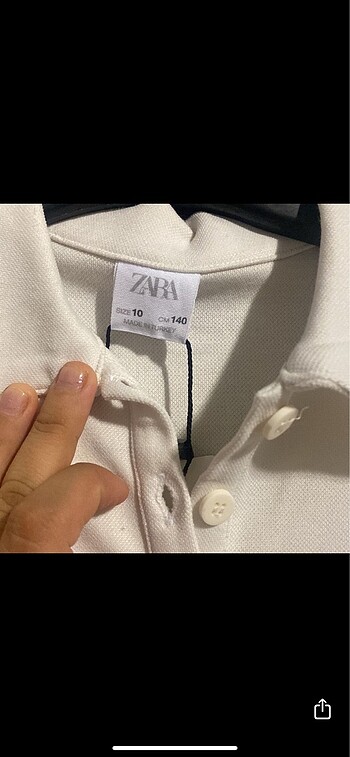 Zara 10yas zara lacoste elb