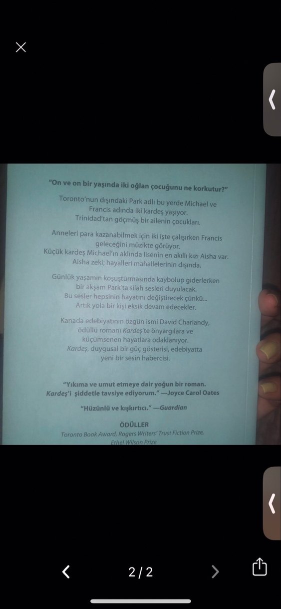 Kardeş - David Charianov - Görsel 2