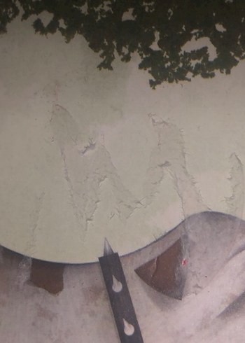 Lulu Köpek Gezdirmeyi Öğreniyor - Görsel 2