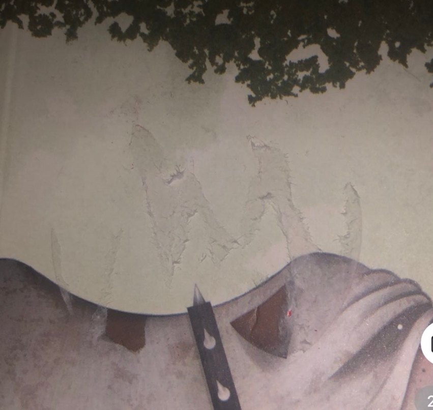 Lulu Köpek Gezdirmeyi Öğreniyor - Görsel 2