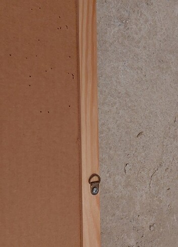  Beden Mantar pano 45x60