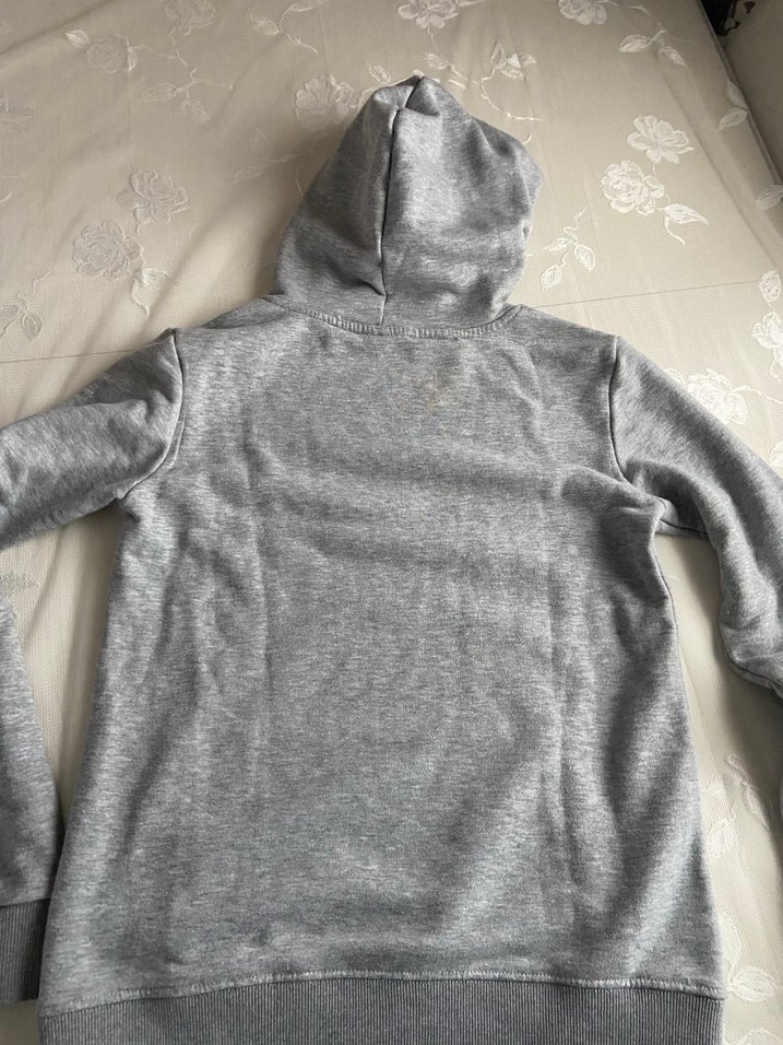 Gri NASA Baskılı Kapüşonlu Kadın Sweatshirt - Görsel 4