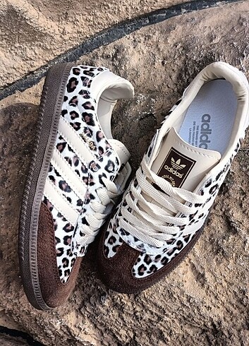 Leopar samba 