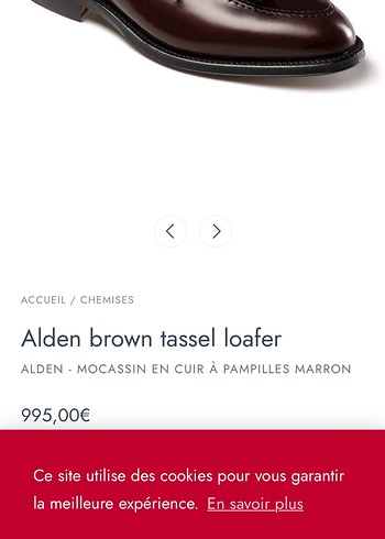 Louis Vuitton Alden Kahverengi Tassel Loafer