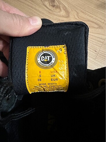 38 Beden Cat bot