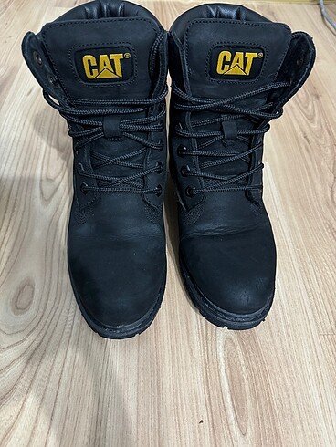 Cat bot