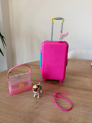 Minik köpekcik, taşıma çantası ve bavulu