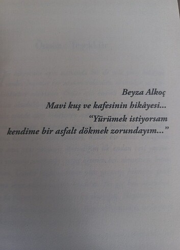  Beden Renk İndiğo kitap 