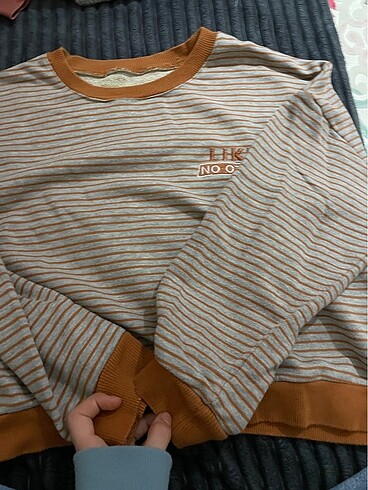 LC Waikiki sweatshirt