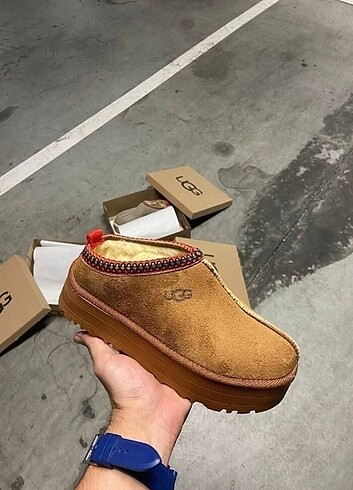 UGG TAZZ 