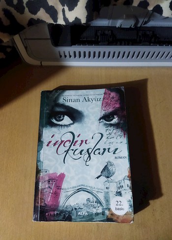 İncin'in Kaçışı - Sinan Akyüz