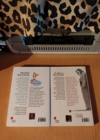  Haritada Kaybolmak ve Kraliçeyi Kurtarmak Çizgi Roman Seti