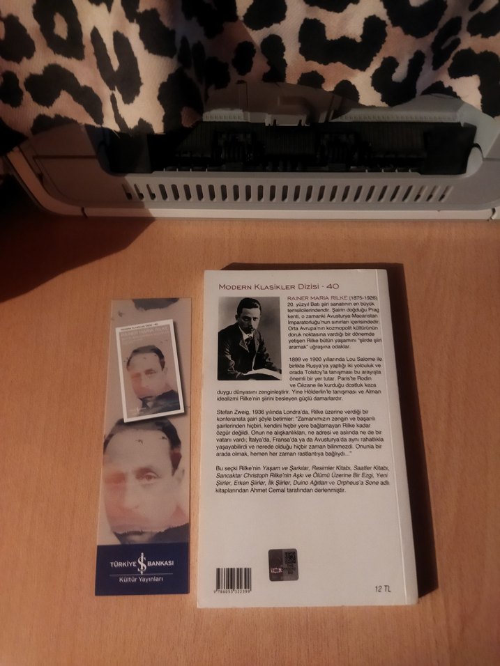 Rainer Maria Rilke - Bütün Şiirlerden Seçmeler - Görsel 2