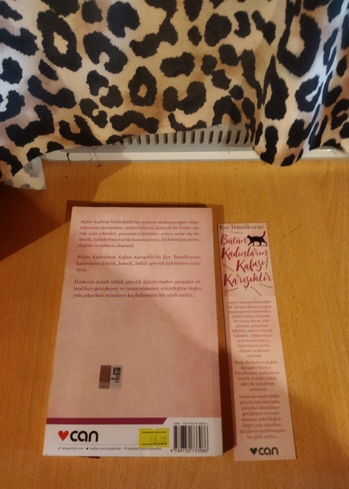 Bütün Kadınların Kafası Karışıktır - Ece Temelkuran  - Görsel 2