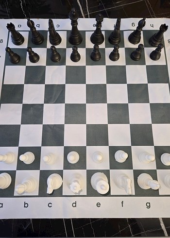 Satranç Takımı Oyun Seti - Görsel 3