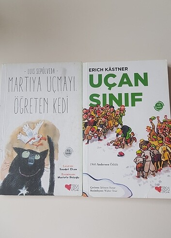 Martıya uçmayı öğreten kedi ve Uçan Sınıf 