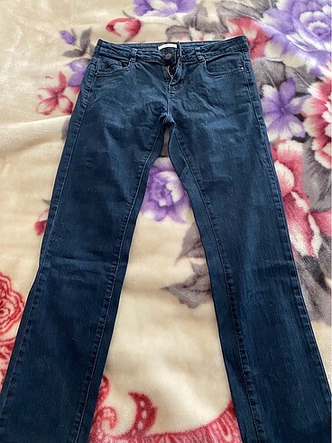 Kot pantalon