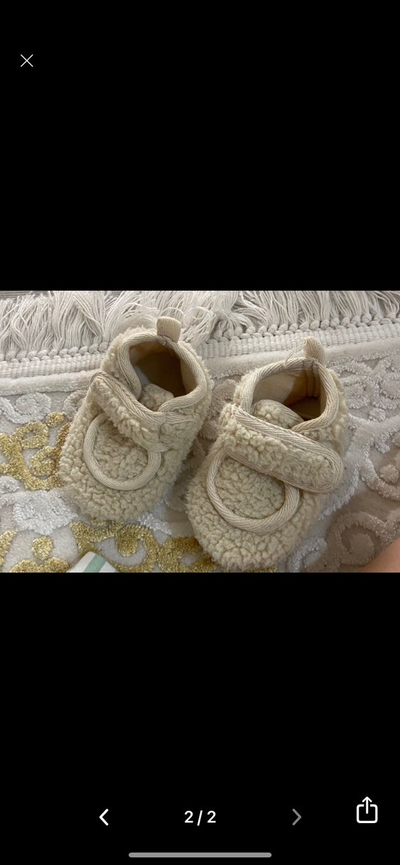 Beyaz Kürklü Ev Botu - Görsel 2