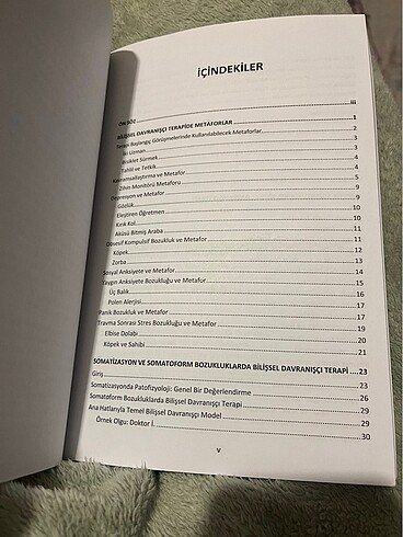 Beden Renk Bilişsel Davranışçı Terapi -2