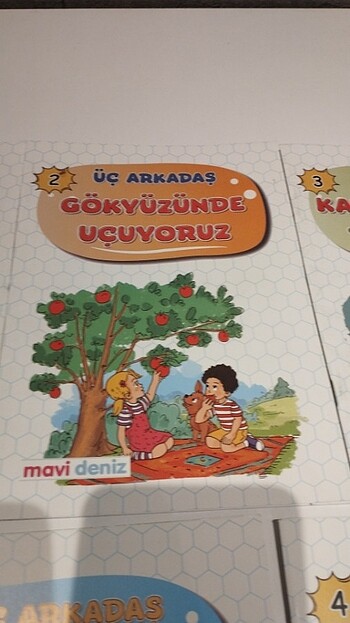  Beden Renk Çocuk kitabı
