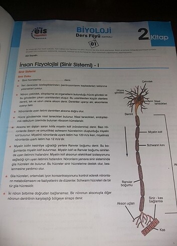  EİS YAYINLARI BİYOLOJİ KONU ANLATIMLI KİTAP