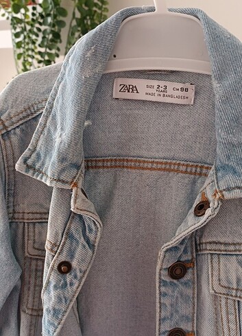 24-36 Ay Beden Zara kot ceket