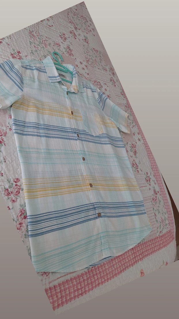 Pamuklu Çok Renkli Kısa Kollu Gömlek - Görsel 4