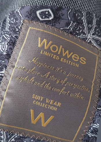 Gri Modern Klasik Erkek Ceket ve Yelek Takımı - Görsel 10