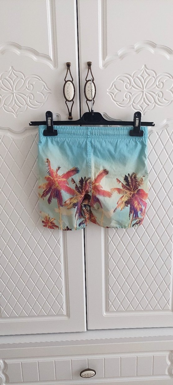 Erkek Çocuk Pastel Renkli Palmiye Desenli Mayo - Görsel 2