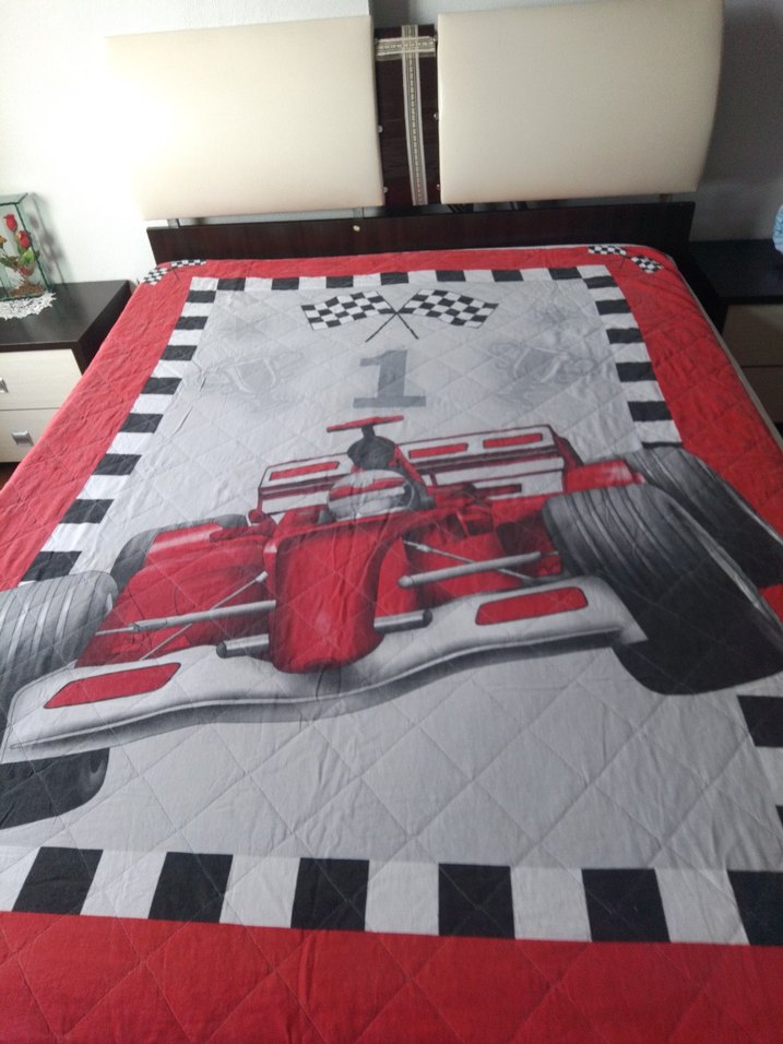 Kırmızı Formula 1 Desenli Çocuk pikesi - Görsel 2