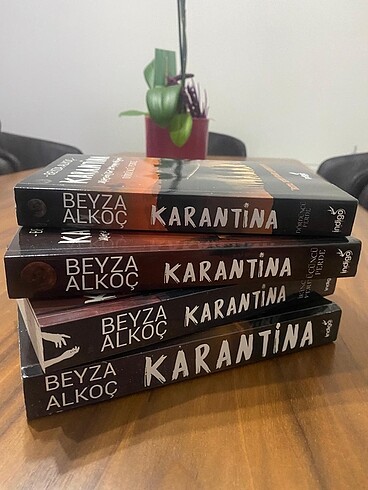 Karantina 4 Kitap Set