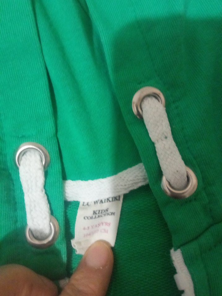 Yeşil Kapüşonlu - Görsel 5