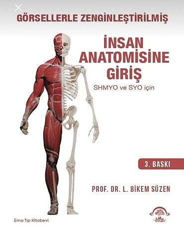İnsan Anatomisine Giriş