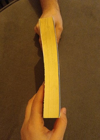 Düşler Bahçesi - Landing Xiaoxiao Sheng - Görsel 4