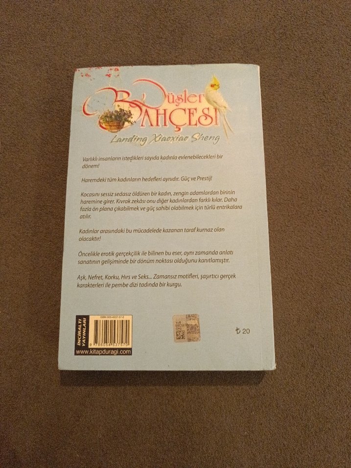 Düşler Bahçesi - Landing Xiaoxiao Sheng - Görsel 3