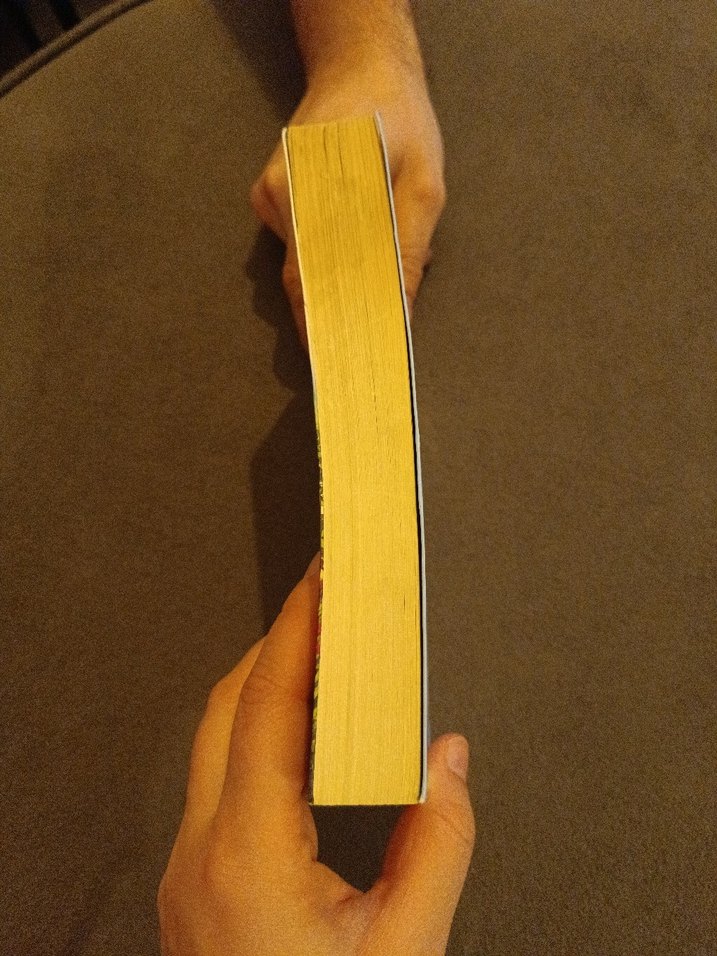 Düşler Bahçesi - Landing Xiaoxiao Sheng - Görsel 4