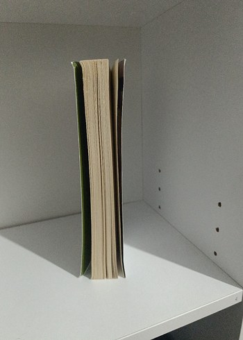 Müslüman'ın Diyeti - Kemal Özer - Görsel 2